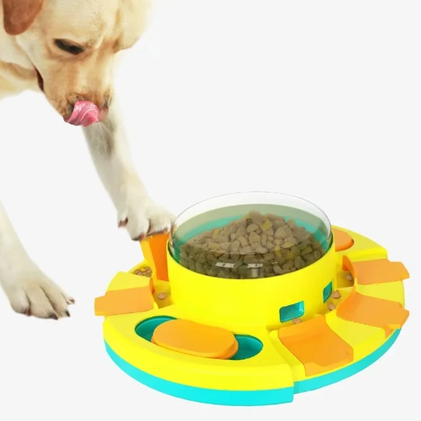 Dog interacting with a colorful puzzle toy designed to encourage play and exercise.