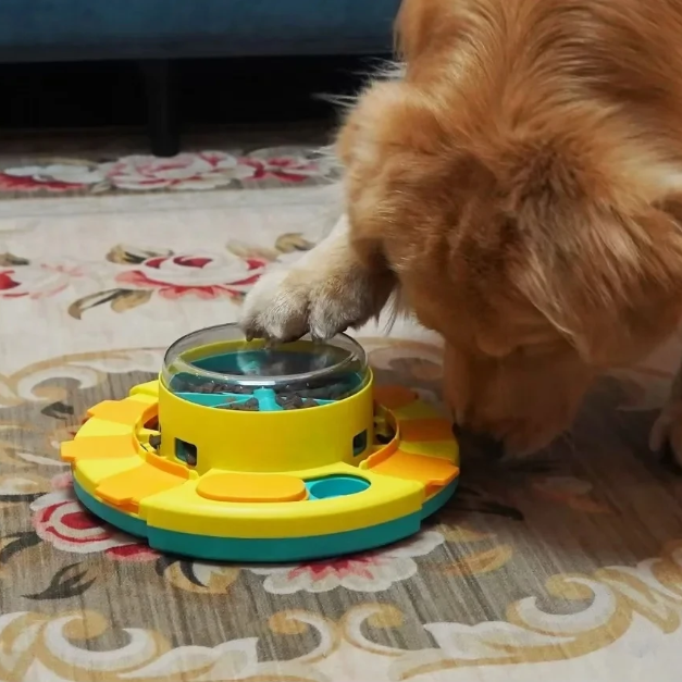 Dog interacting with a colorful puzzle toy on a patterned rug.